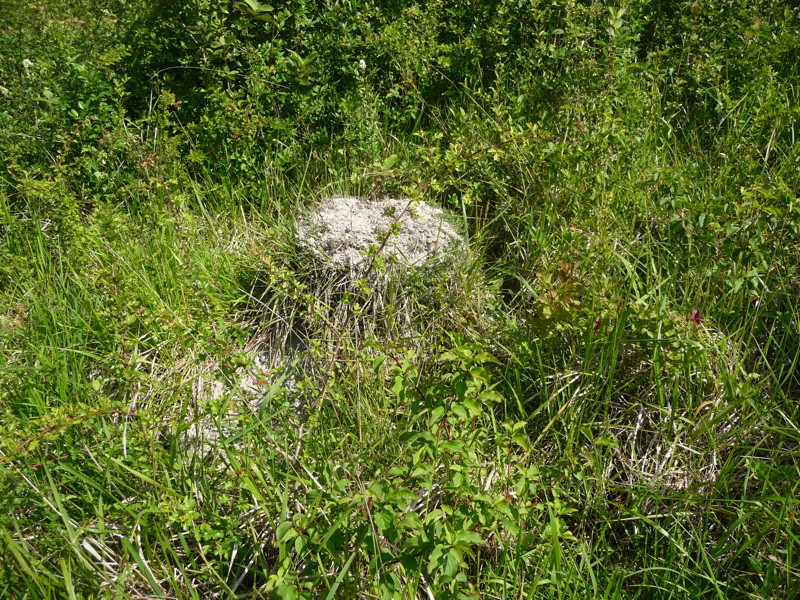 p1070924.jpg