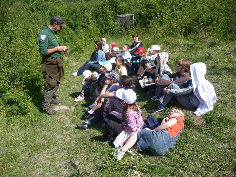 p1070935.jpg