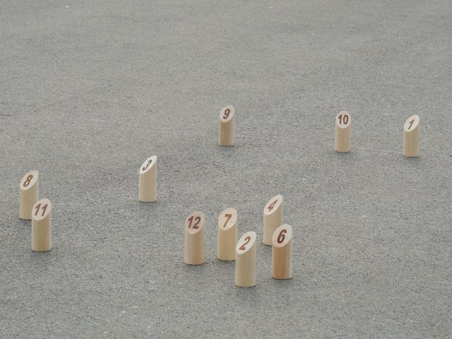 DSCN1229