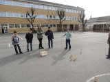 DSCN1133