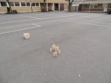 DSCN1207