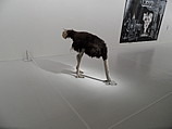 sam_1273.jpg