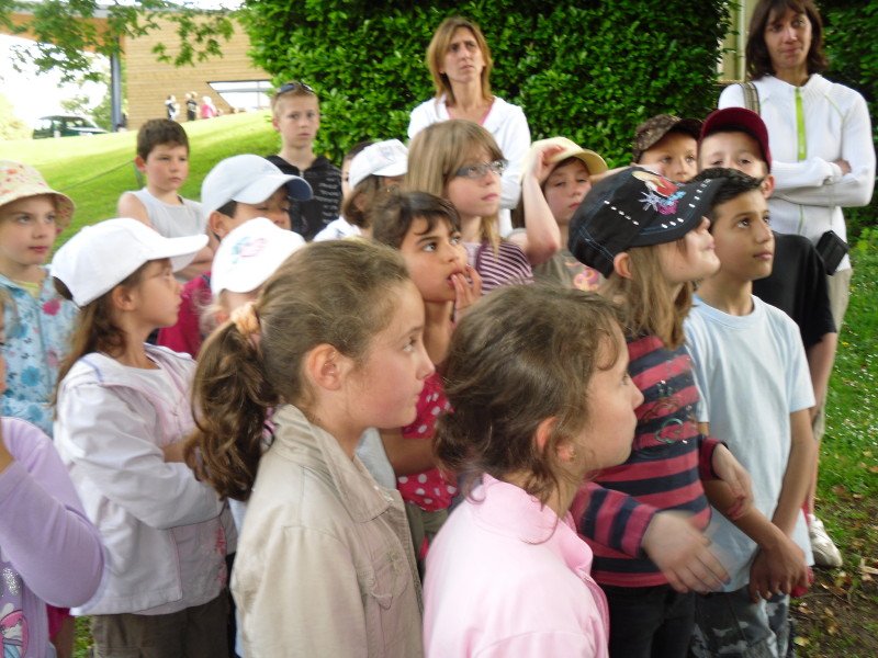 sdc10378.jpg