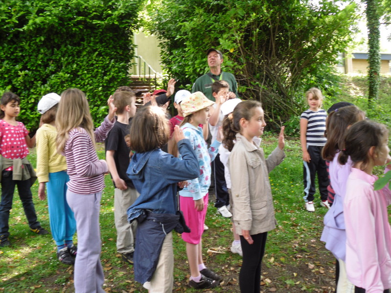 sdc10380.jpg
