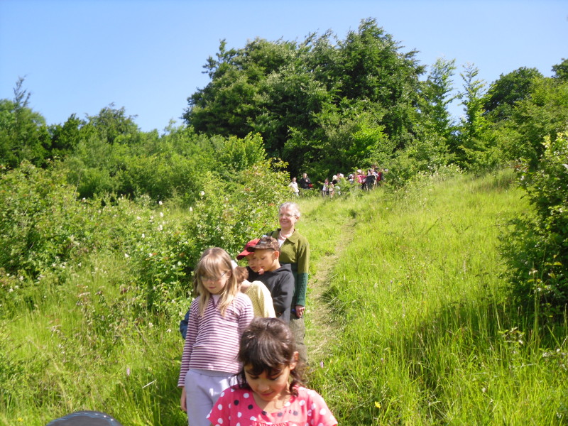 sdc10395.jpg