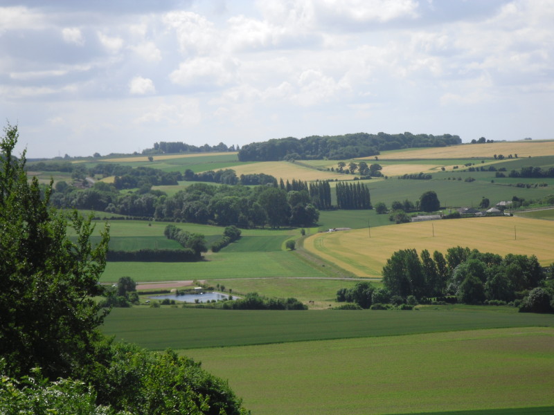sdc10407.jpg