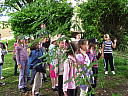 sdc10381.jpg