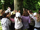 sdc10383.jpg