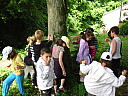 sdc10384.jpg