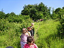 sdc10395.jpg