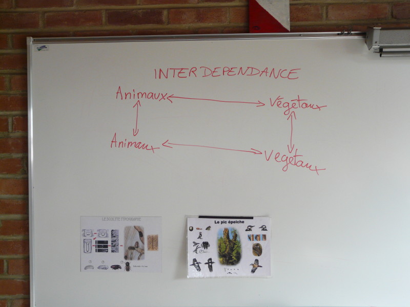 p1040398.jpg