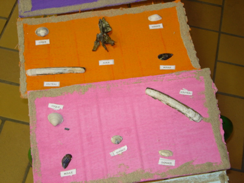 dscn0268.jpg