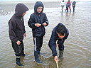 dscf1988.jpg