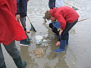 dscf1991.jpg