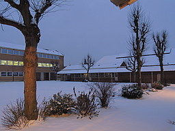 dscn0981.jpg