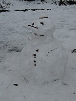 dscn1031.jpg