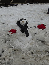 dscn1033.jpg