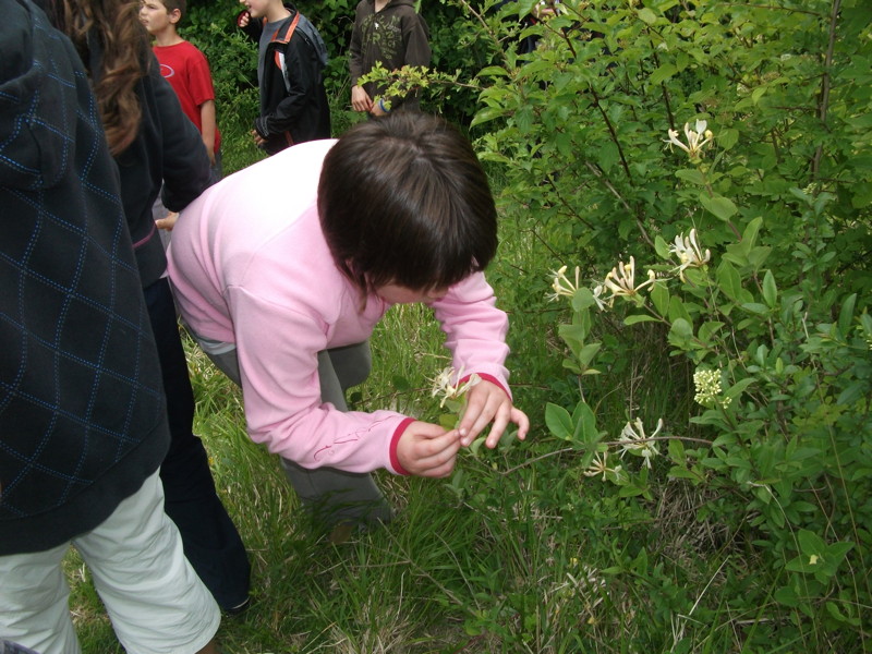 dscf2078.jpg