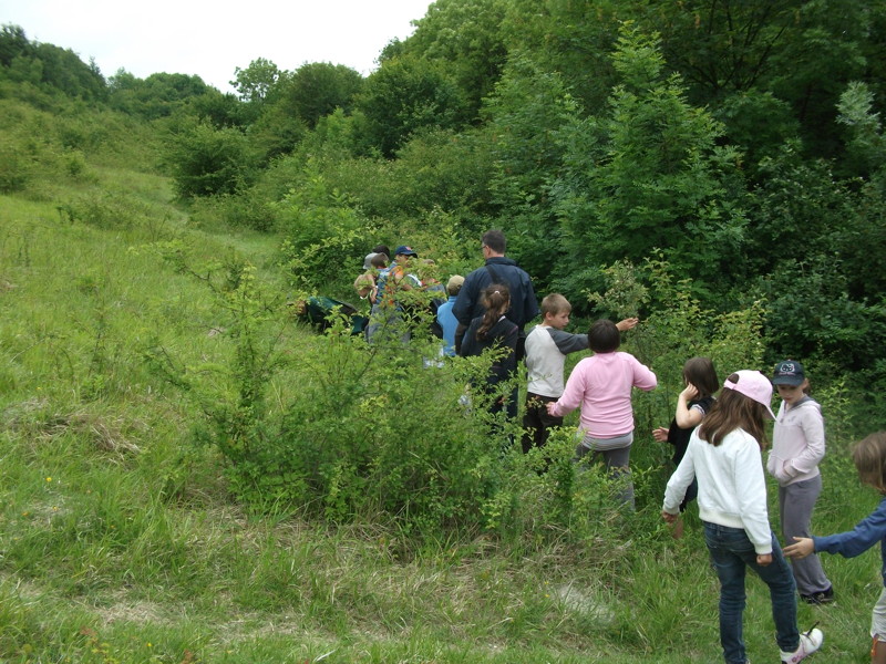 dscf2080.jpg