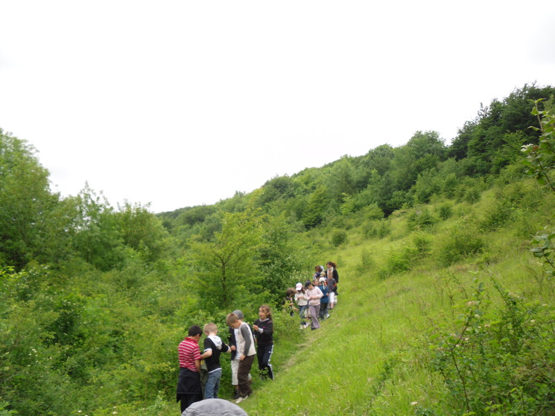 sdc12045.jpg