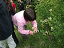 dscf2078.jpg