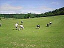 sdc12005.jpg