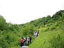 sdc12045.jpg