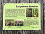 Pour agrandir cliquer sur la vignette 32.jpg