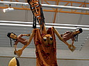 sam_1113.jpg