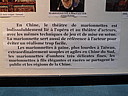 sam_1151bis.jpg