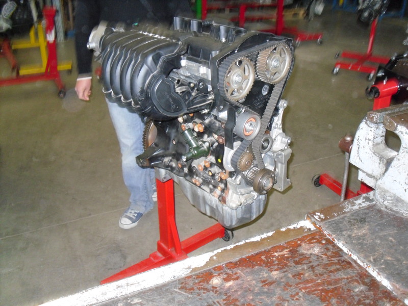 sdc12596.jpg