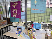sdc12639.jpg