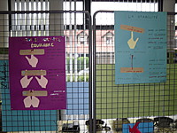 sdc12647.jpg