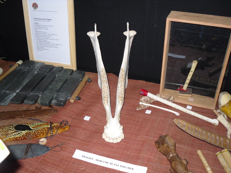 sdc10988.jpg