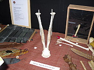 sdc10988.jpg
