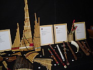 sdc11026.jpg