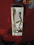 dscn1903.jpg
