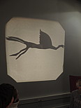 dscn1922.jpg