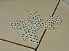 dscn2949.jpg