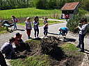 75.jpg